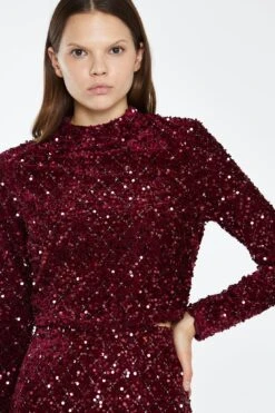 Glamorous Port-Red Velvet-Sequin High Neck -Top