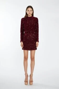 Glamorous Port-Red Velvet-Sequin Mini-Skirt