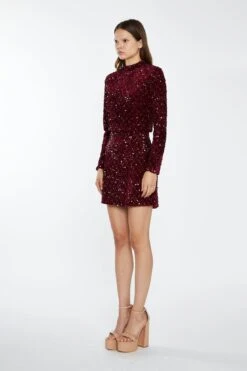Glamorous Port-Red Velvet-Sequin Mini-Skirt -Cheap Softly Dressed Store AN4315A DK36 03
