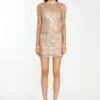 Glamorous Rose-Gold Sequin Mesh Mini-Dress