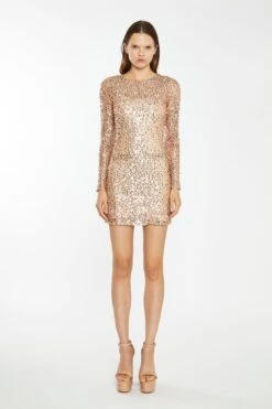 Glamorous Rose-Gold Sequin Mesh Mini-Dress