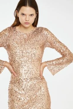Glamorous Rose-Gold Sequin Mesh Mini-Dress 6 Glamorous Rose-Gold Sequin Mesh Mini-Dress -Cheap Softly Dressed Store AN4614 BE81 04